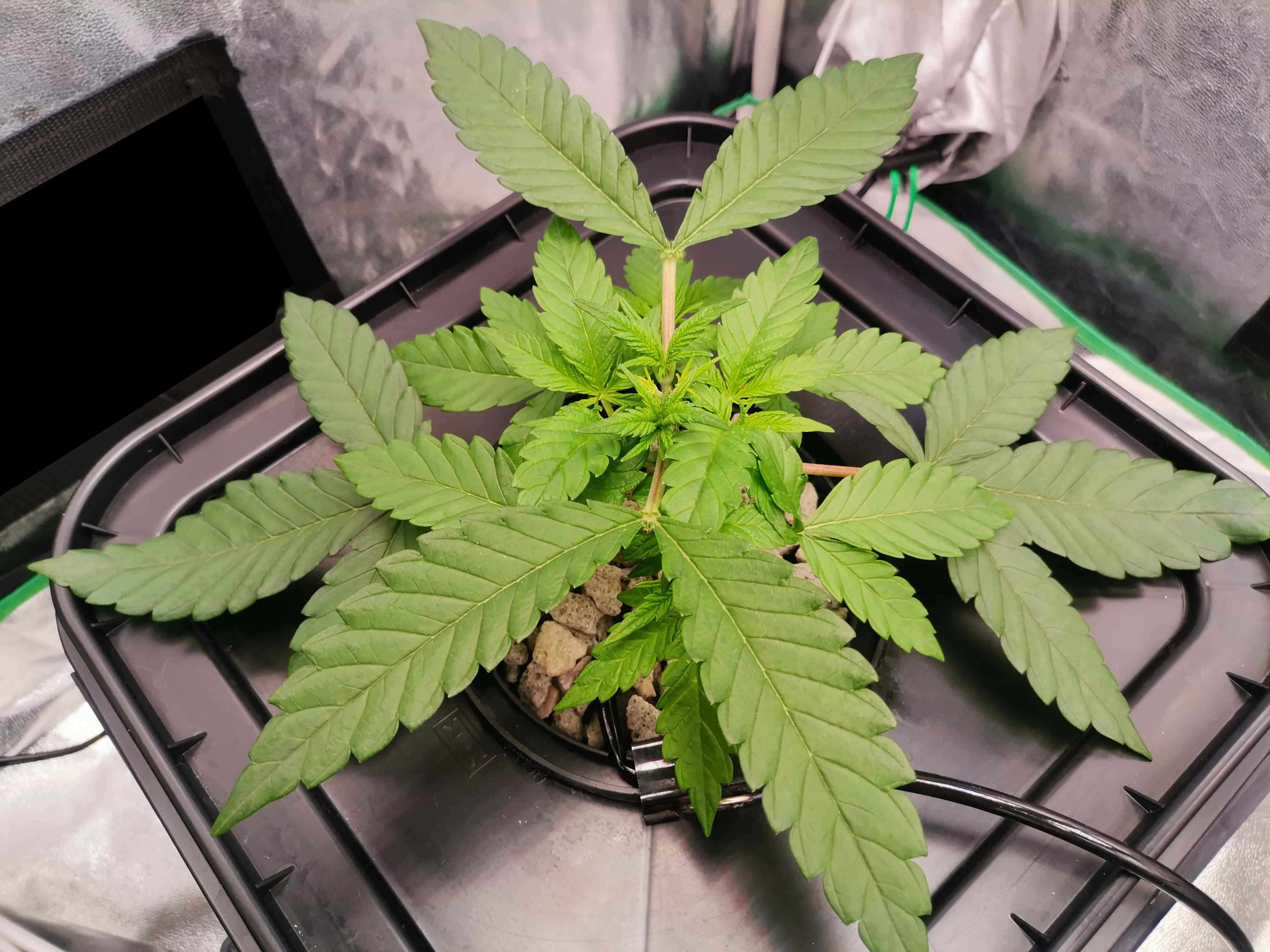 Beyond the Brain6.jpg